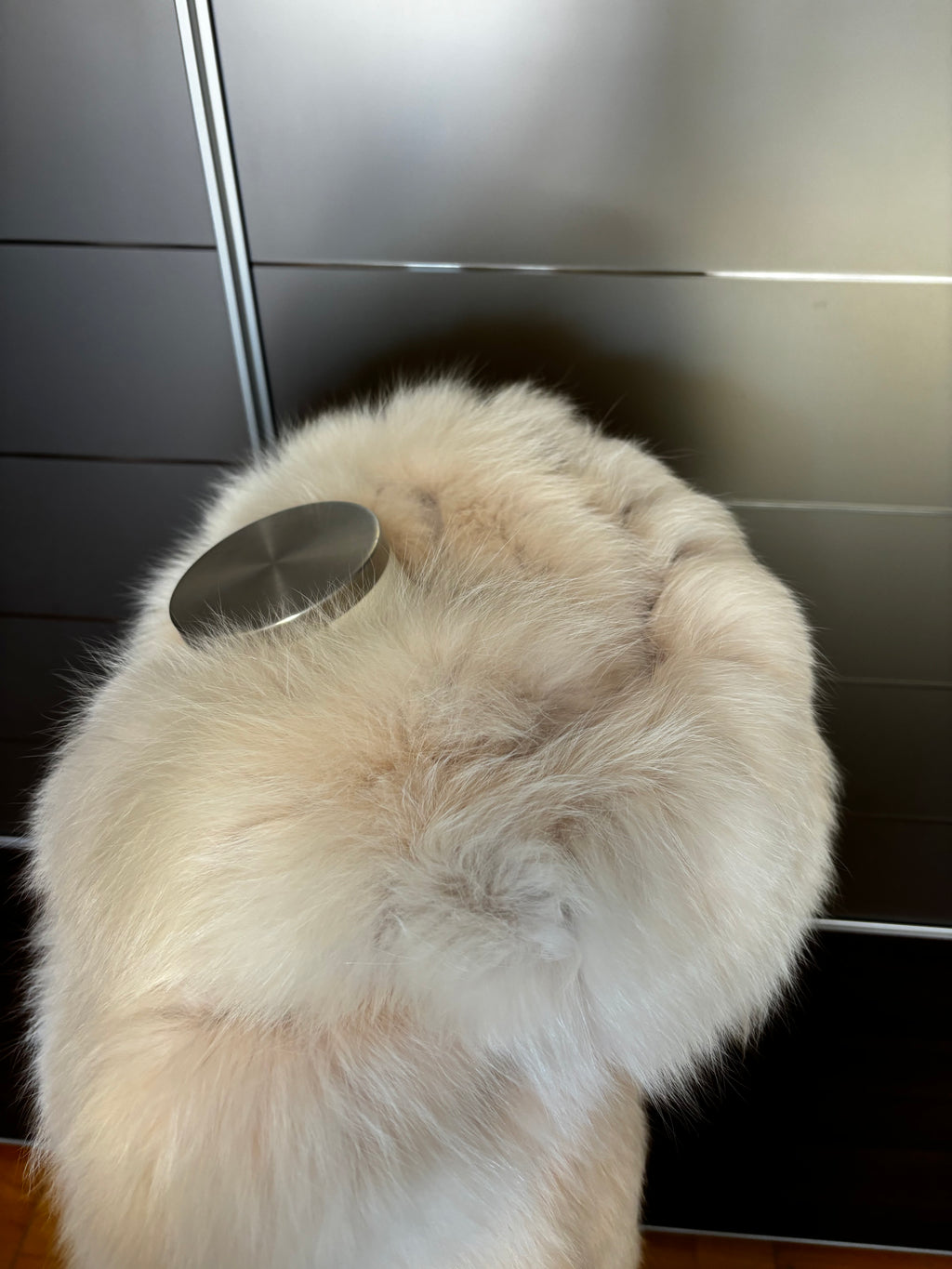 Pelliccia di volpe con cappuccio