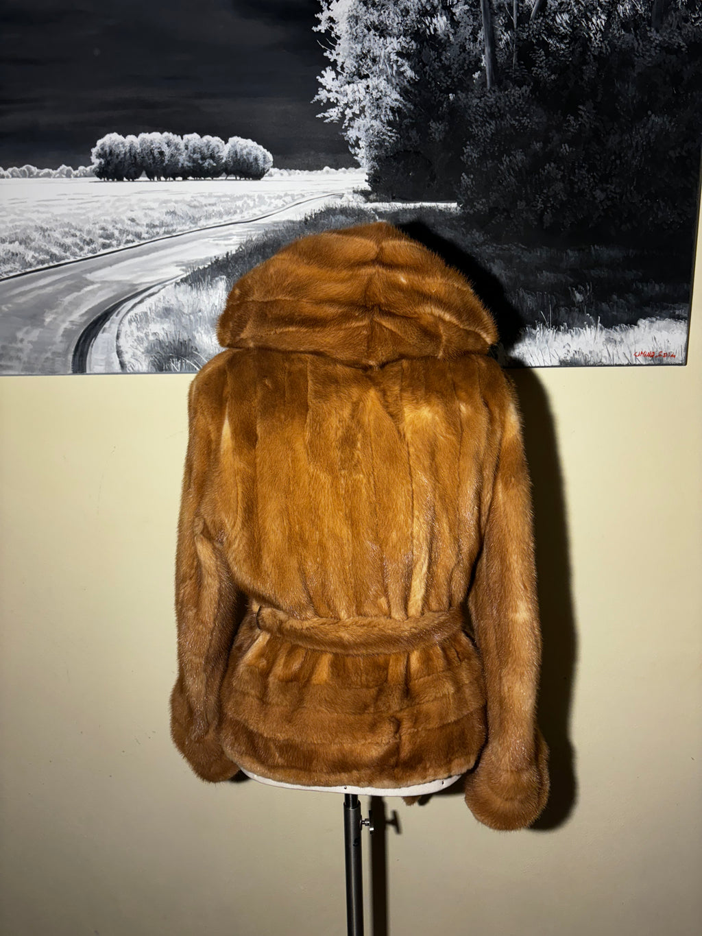 Visone con cappuccio